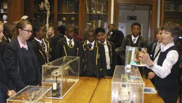 Museum of Life Sciences Outreach