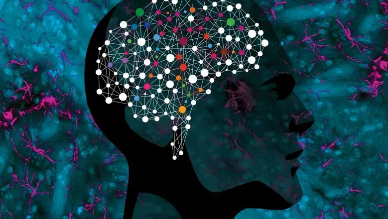 Graphic of the side of a head with the brain's pathways in different colours