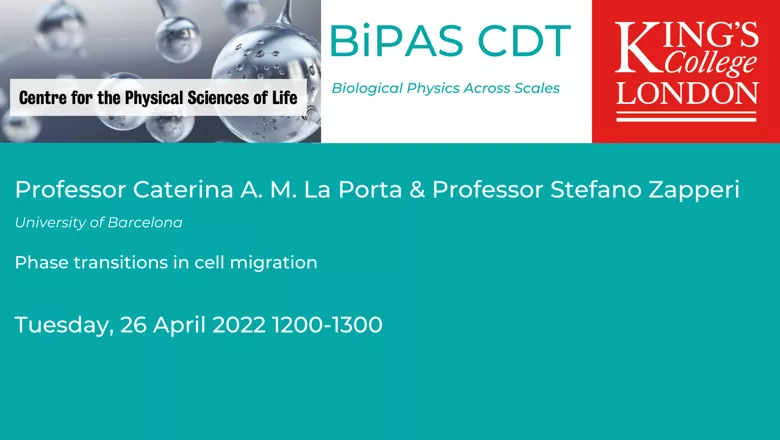BiPAS Seminar Advert La Porta & Zapperi Thumbnail