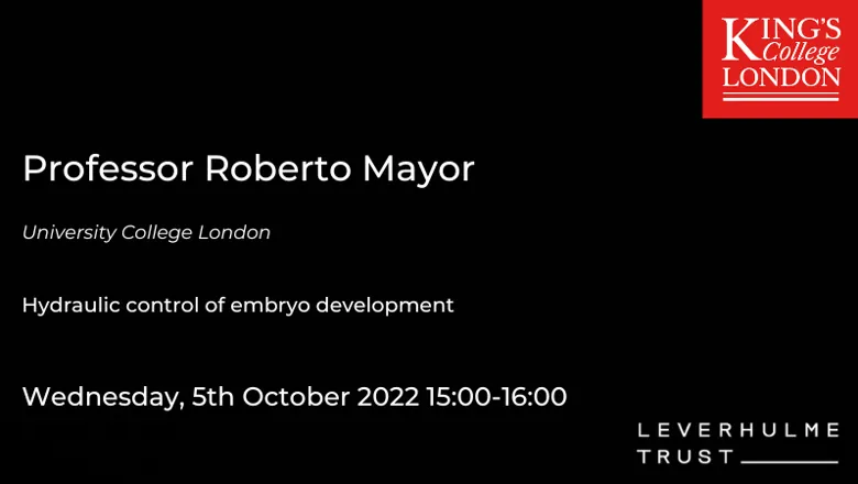 Force Talk Seminar advert for Roberto Mayor