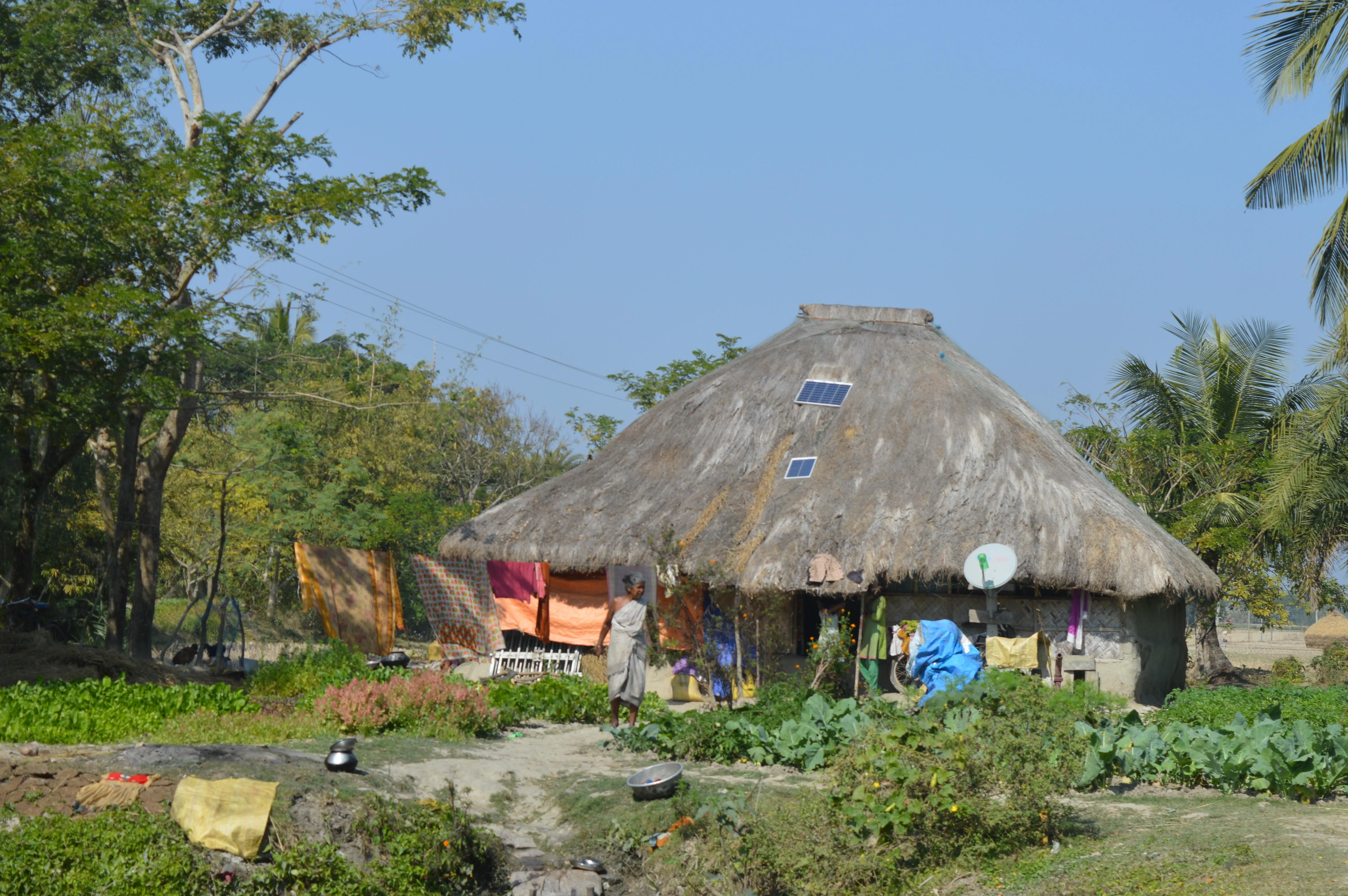 A tiger widow, a woman who lost her husband to a tiger attack standing in front of her hut in the Sundarban region of West Bengal, India.