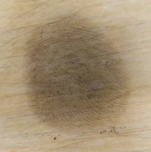 28-day-old-fingerprint-on-ivory-enhanced-with-reduced-scale-powder-1-e1472050684356