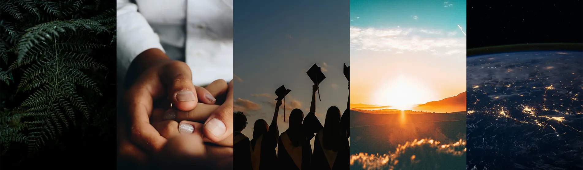 Knowledge with purpose banner_