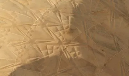Image of markings in the sand