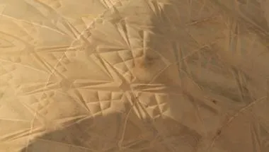 Image of markings in the sand