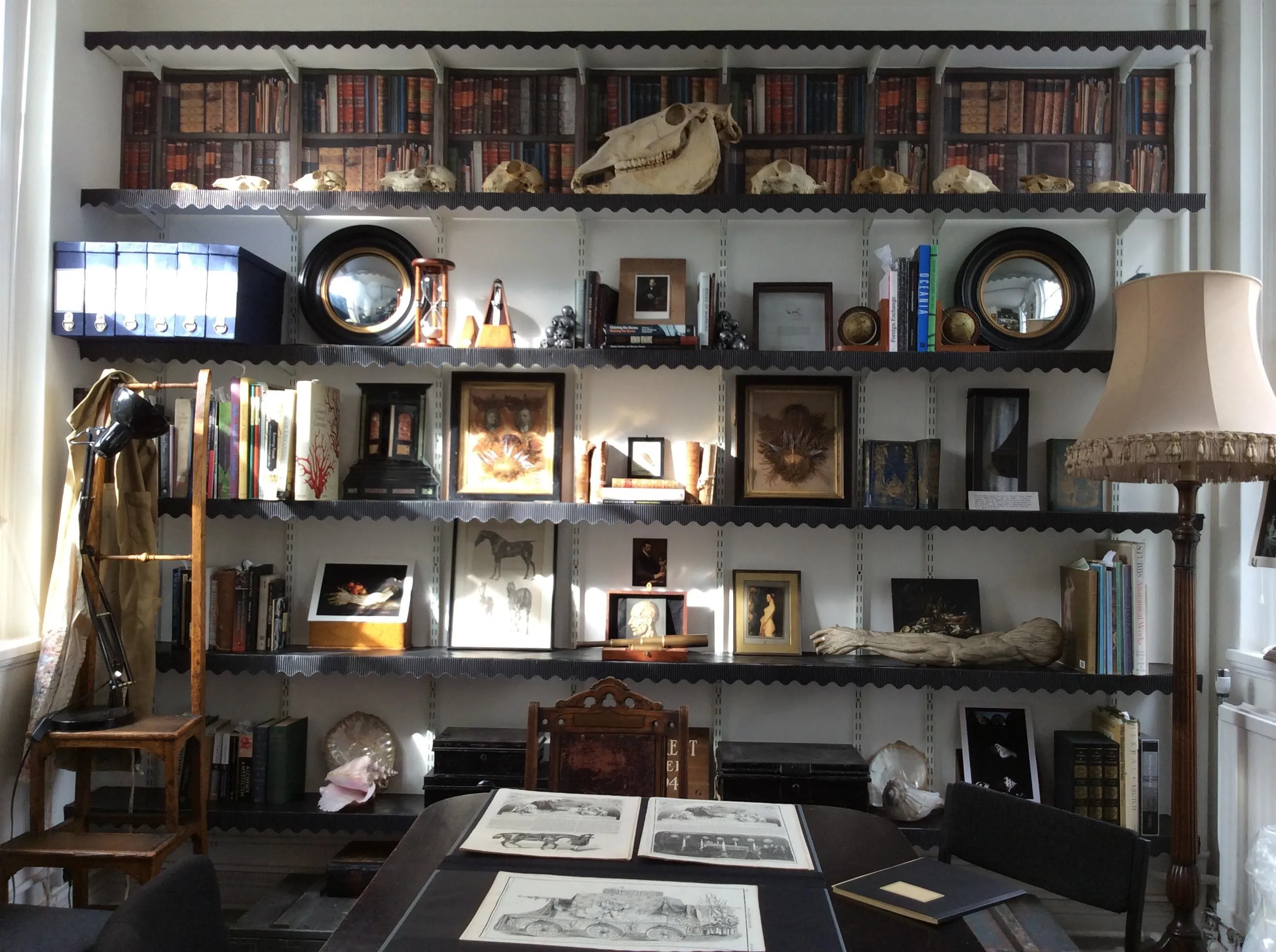 Image of shelving with framed photgraphs and books and animal skulls 