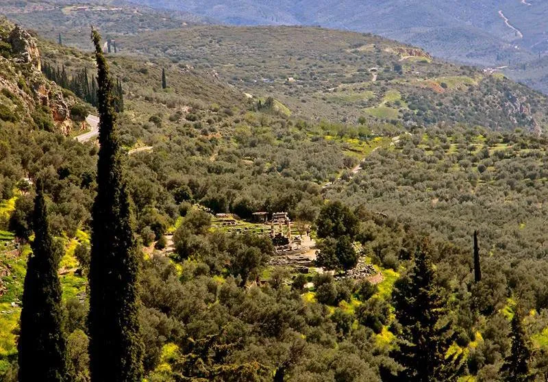 Image of Delphi site