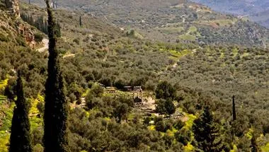 Image of Delphi site