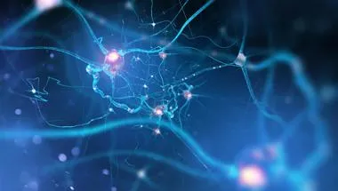 Biological Reality of Ageing header
