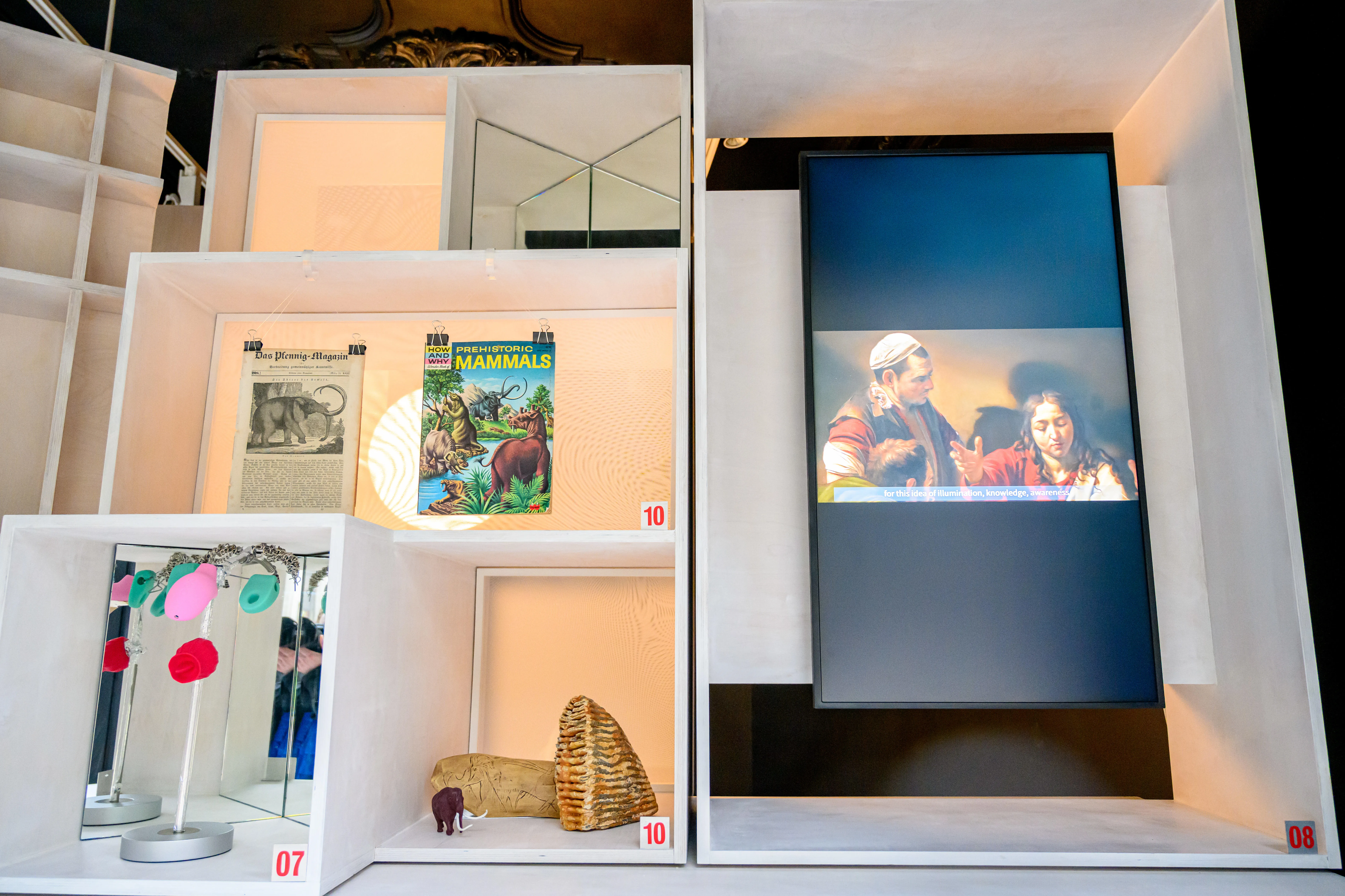 Objects on display in the Curiosity Cabinet
