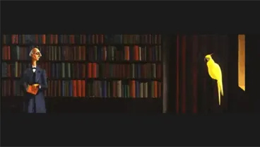 Textual Representation