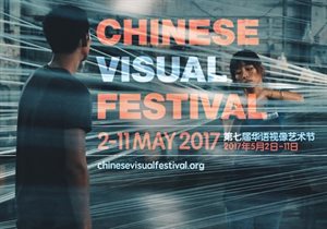 Chinese visual festival 2017