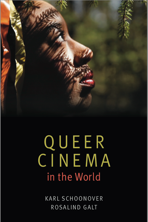Galt, Rosalind & Schoonover, Karl - Queer Cinema in the World (2016) logo