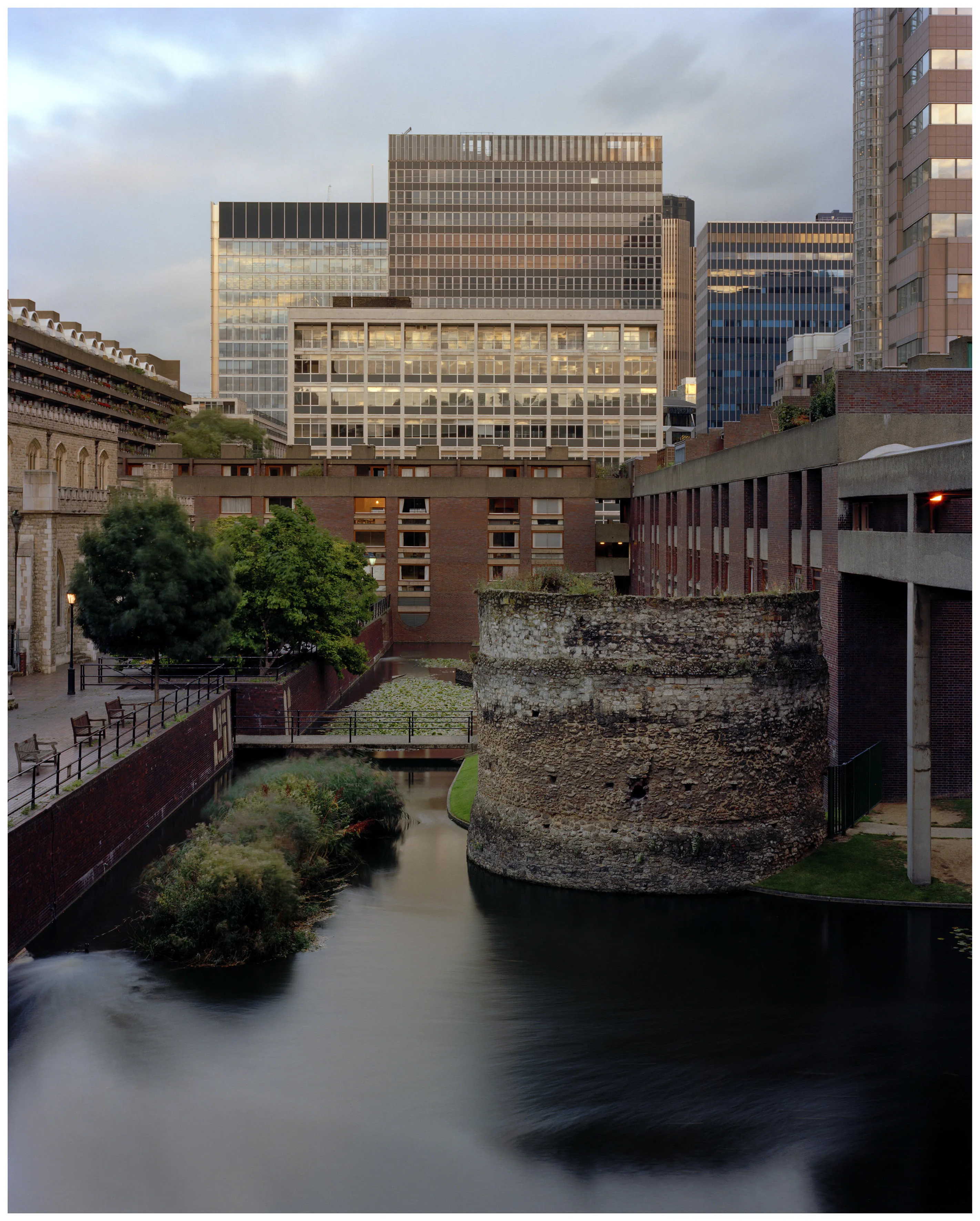 ROS_6 (henrietta williams)