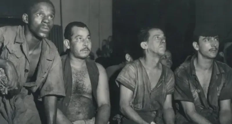brazil propaganda (alan fisher) feature