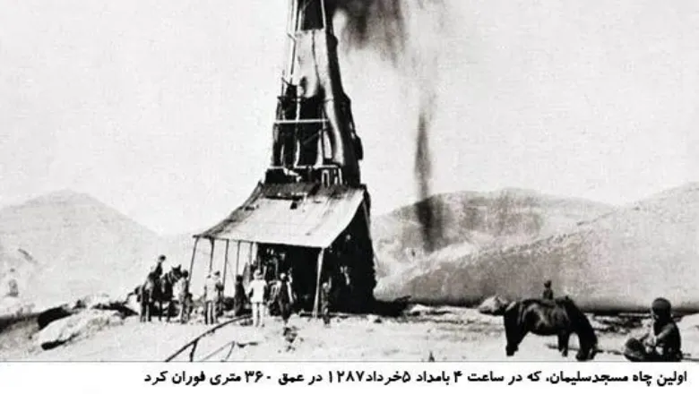 Critical Perspectives on Petrosonics: A Study Day