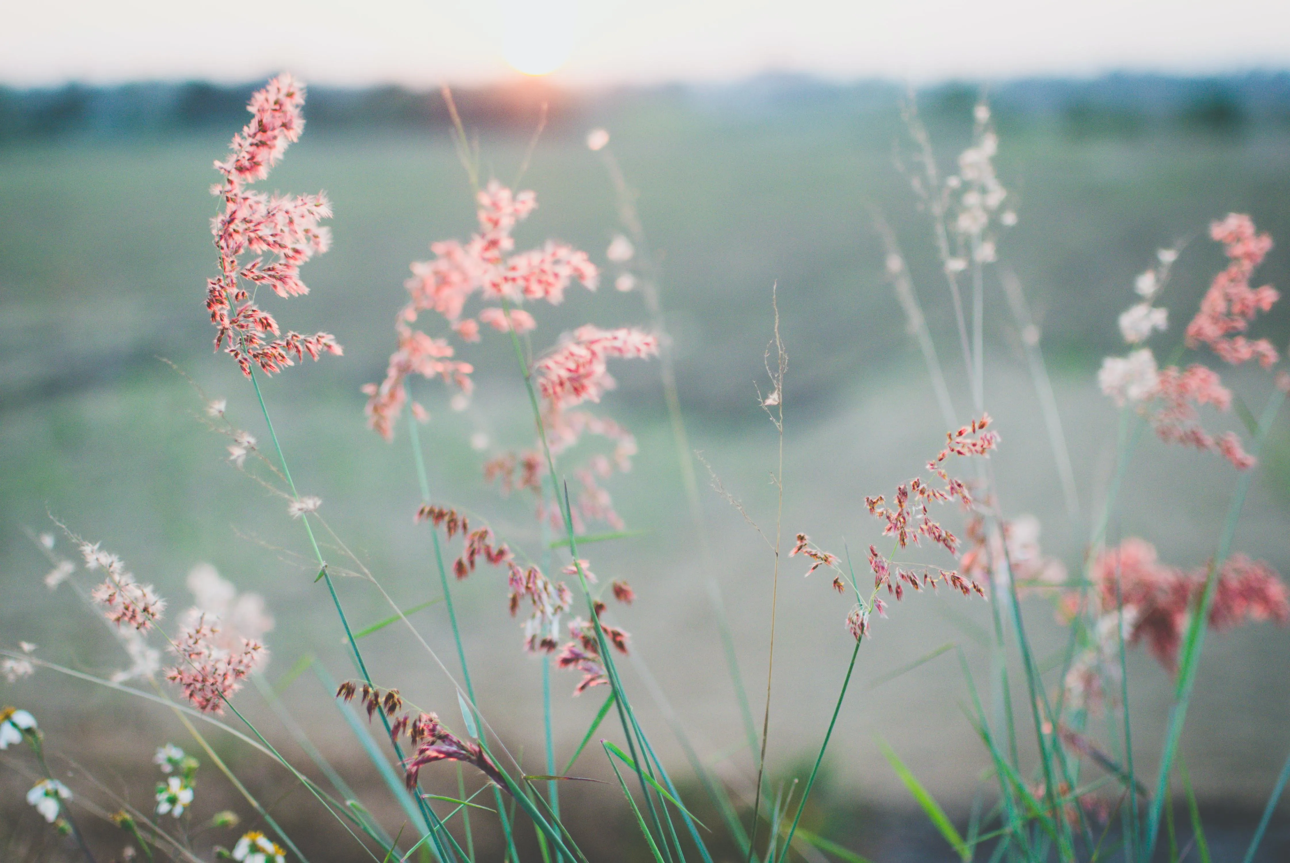 kien-do-unsplash
