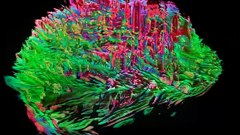 Neuromatic Joanna Zylinska