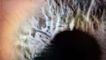 EVENT: How Humans and Machines See the World