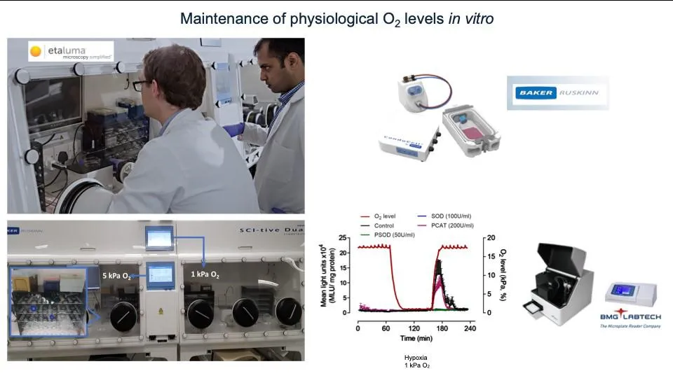 Physiological-Oxygen-maintenance