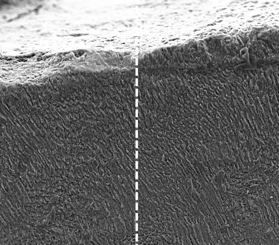 Microscope image comparing tooth before and after treatment with keratin
