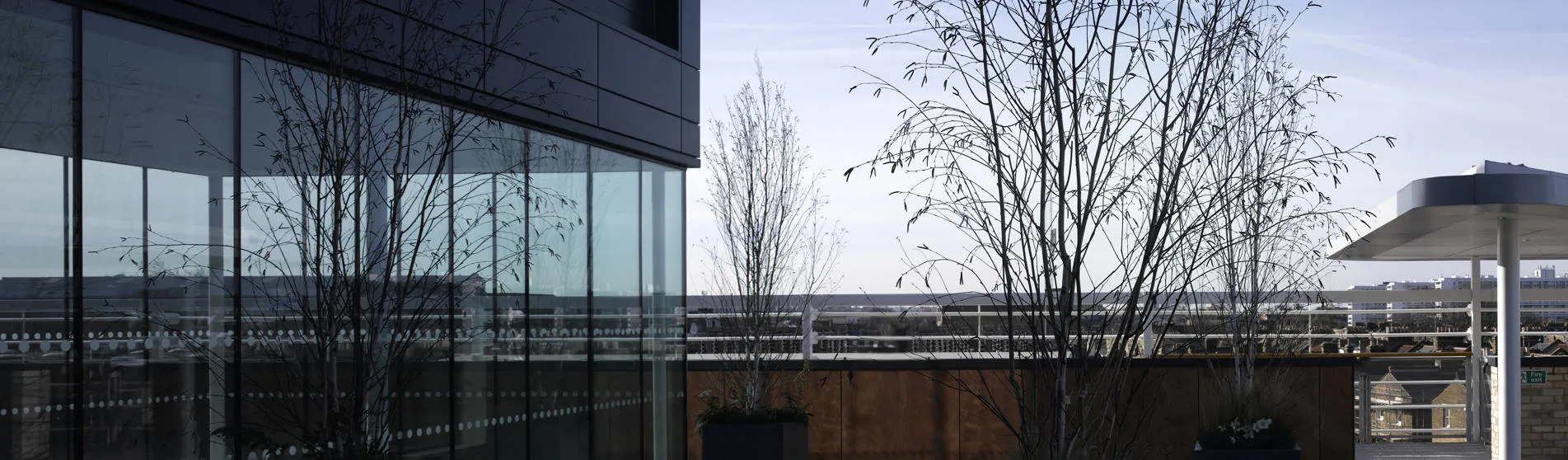 cicely-saunders-institute-exterior-campus building terrace csi 1903x558