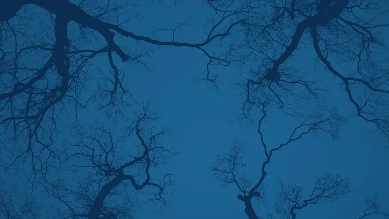 An Image of tree branches in blue and black 