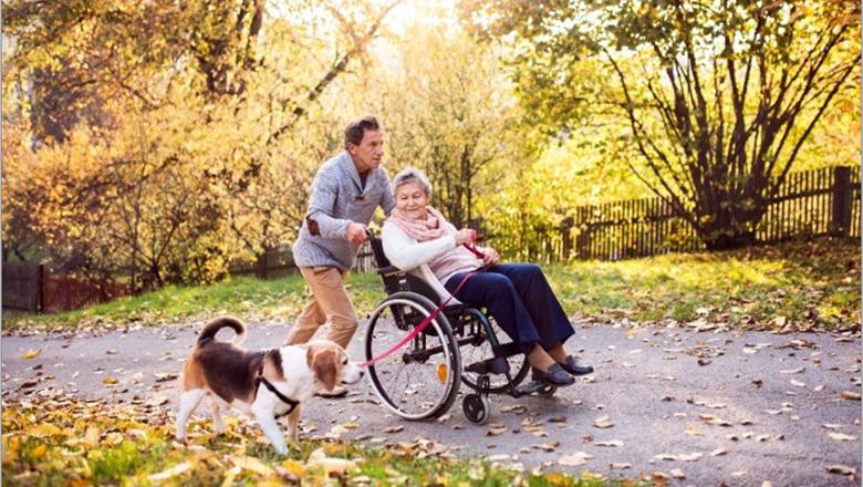 Man pushing woman in wheelchair with a dog on a lead through a park