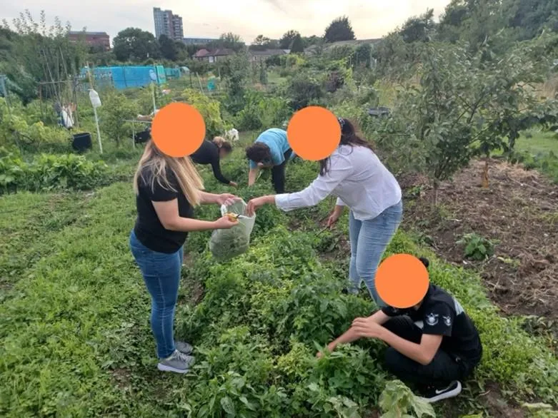 Women tending to an allotment