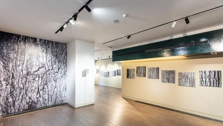 an image of the exhibition showing pictures of tree bark inside The Arcade space at Bush House