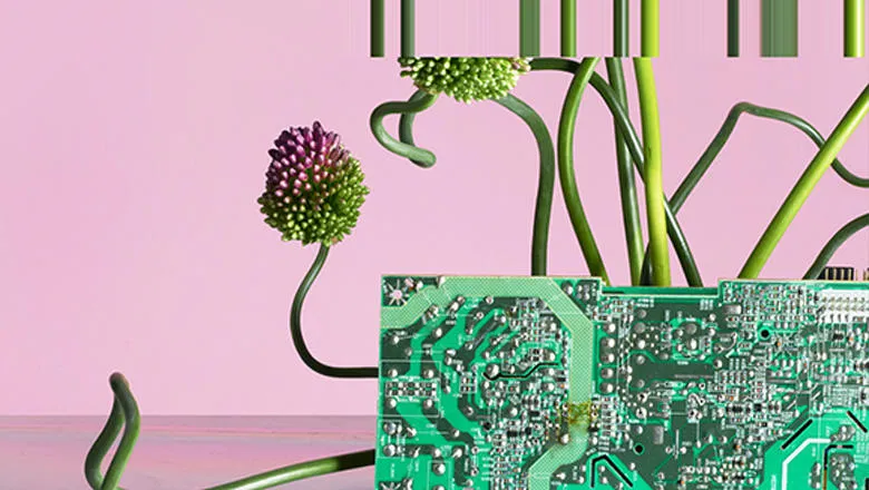 season main image pink background with green motherboard and plant