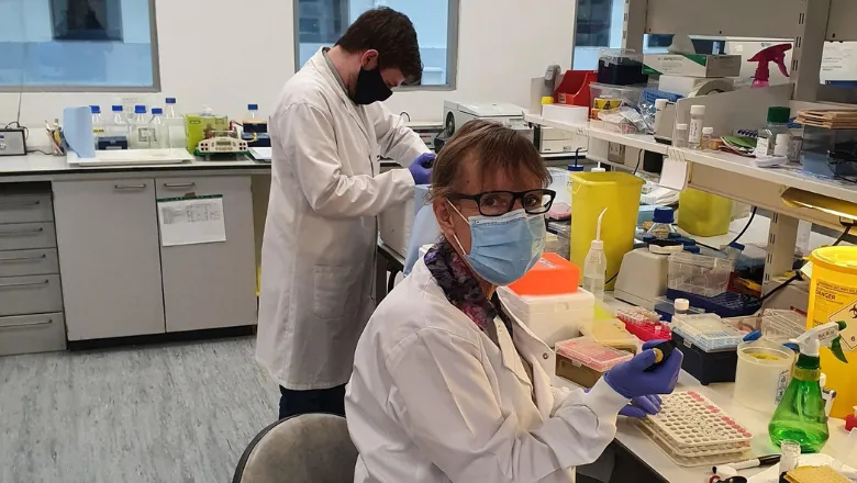 Professor Susan Brain analysing samples to determine levels of markers associated with heart failure