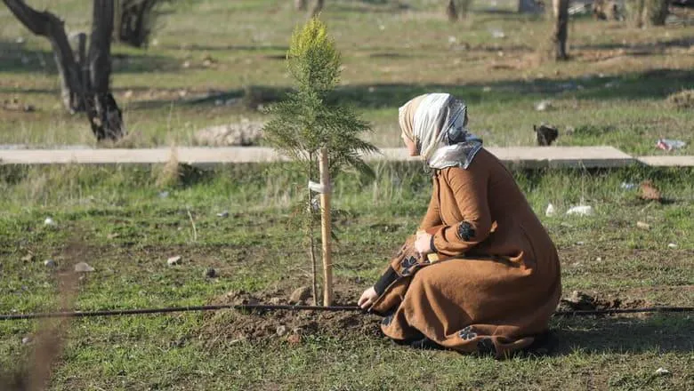 Aya Nawfal, Green Mosul