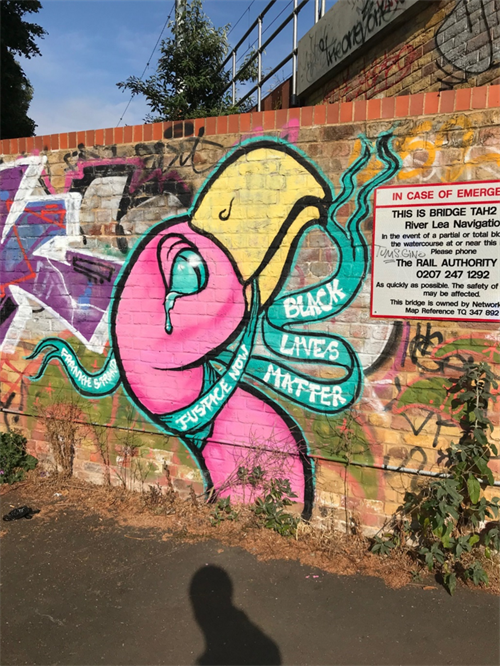 Photo of street art on a brick wall taken in ferry lane, tottenham. The street art depicts a pink flamengo head, which is cry and wrapped in a green ribbon. The green ribbon reads "Justice Now, Black Lives Matter"