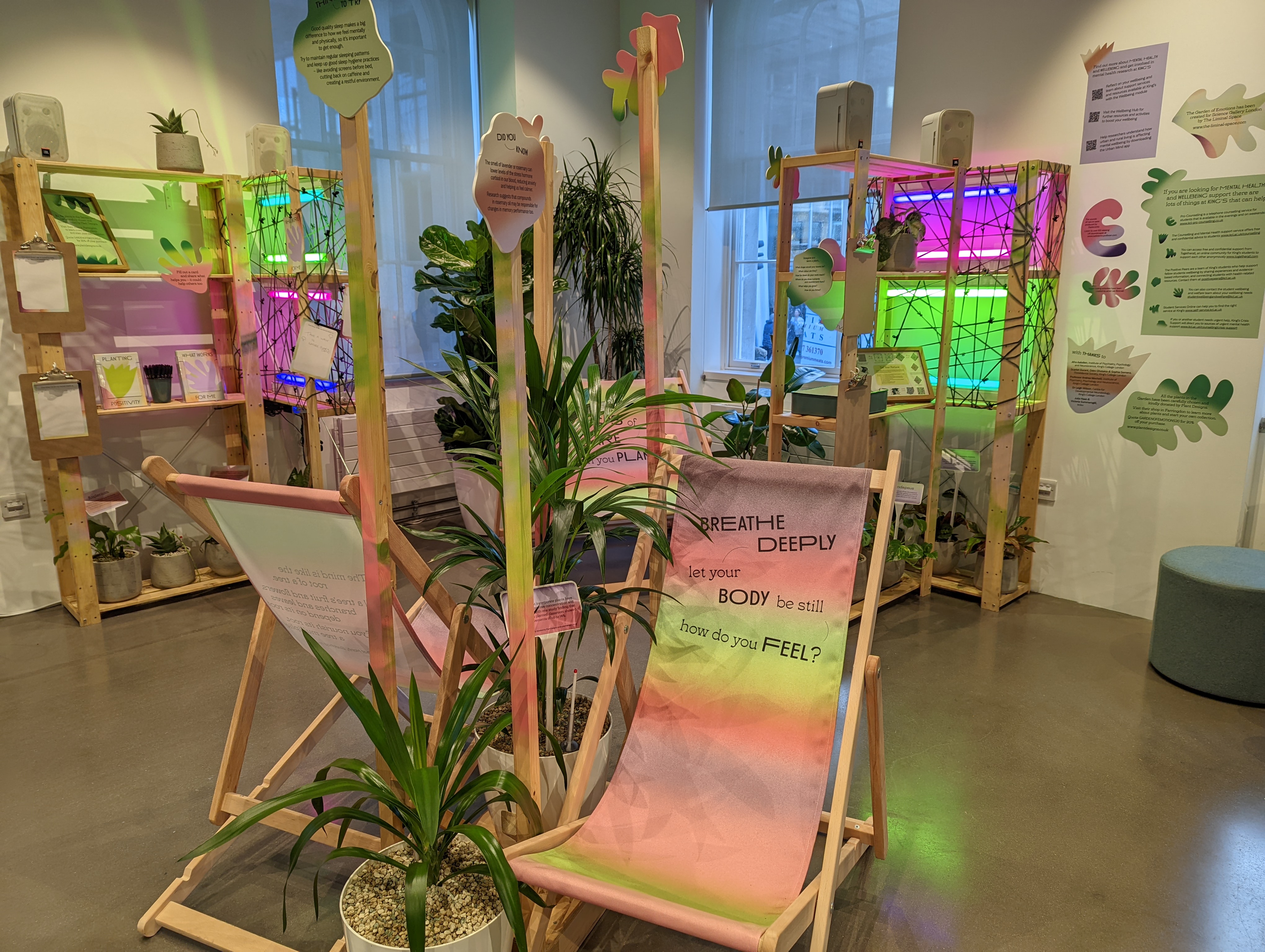 Photo of the Garden of Emotions at Science Gallery London