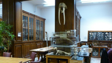 Museum of Life Sciences, Guy's Campus