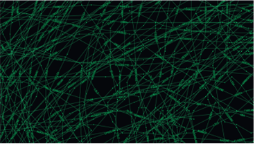 Self-witness: countermapping the data politics of asylum