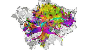The cerebral city