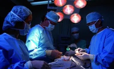 Organs for all380x229