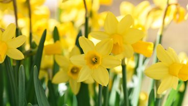 Weekly Reflections Archive