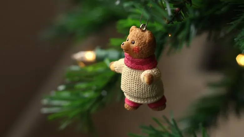 Christmas Jumper Bear