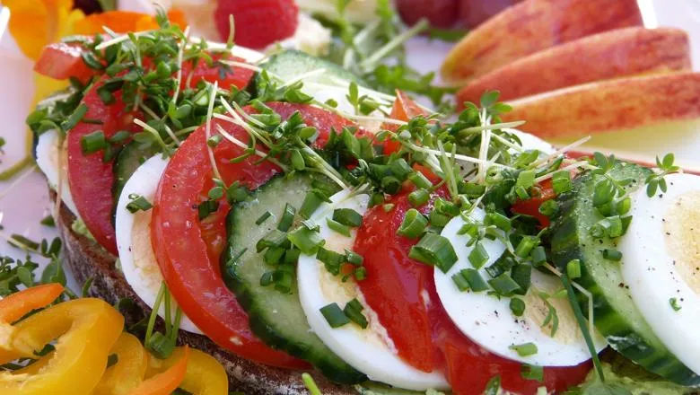 Open sandwich of tomatoes, cucumber, chives and cress with sliced egg, surrounded by sliced peppers and apples