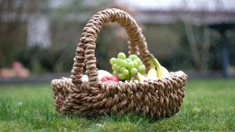 Picnic basket on grass filled with fruit, blurred background