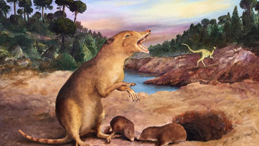 New research: dental evidence challenges origin time of mammals