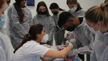 BDS student Rishi Daggar shares his experience at the Faculty of Dentistry of Marmara University, Istanbul