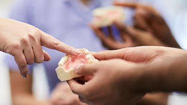 Introduction to Dentistry, Oral & Craniofacial Sciences distance learning courses
