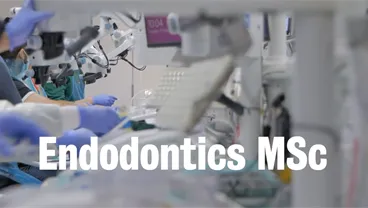 Endodontics Course Video