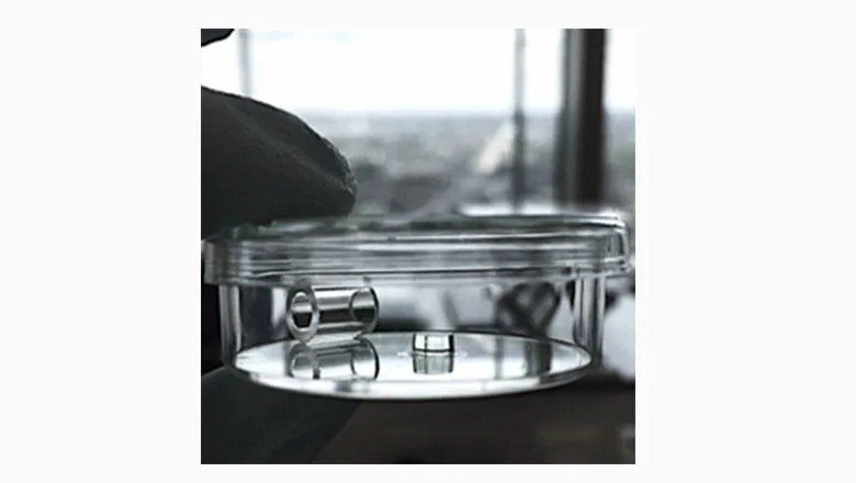 The newly designed synthetic hydrogel.