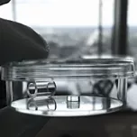 The newly designed synthetic hydrogel, which is cast into a glass ring, where it rapidly solidifies into a clear mass. This system allows researchers complete control over the culture conditions, enabling them to study IBD-associated co-morbidities like fibrosis or fistulae.