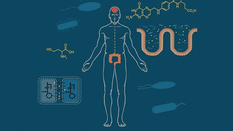 saeed-microbiome-parkinsons-image